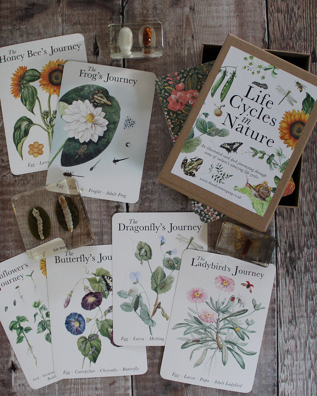 Life Cycles of Nature A6 Card Pack