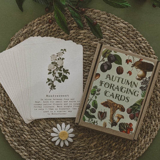 SALE Autumn Foraging A6 Card Pack